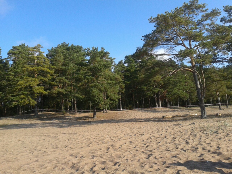 Катерина Лифантьева *kuksa* | Санкт-Петербург