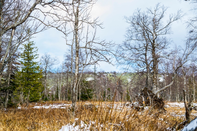 Иван Селезнев | Александровск