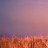 Наталья Рогачёва _*-ПреЛесть-*_ | Витебск