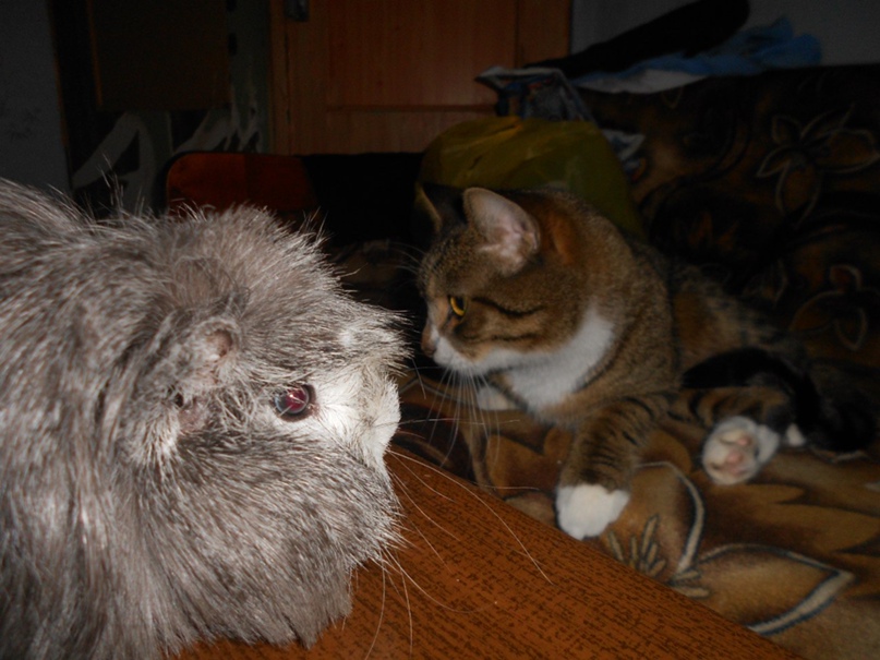 Олег Соболь леонидович | Северодвинск