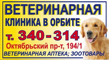 Ветсервис октябрьский просп 194 1 фото Ветсервис октябрьский просп 194 1 фото