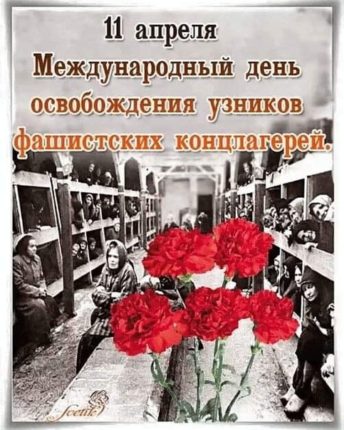 День узников фашистских концлагерей День узников фашистских концлагерей