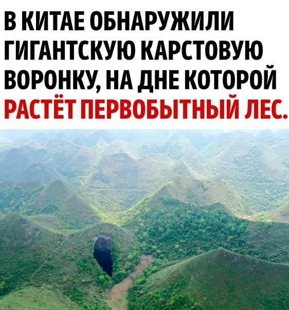 И динозавры 🦕 скоро появятся 🤣