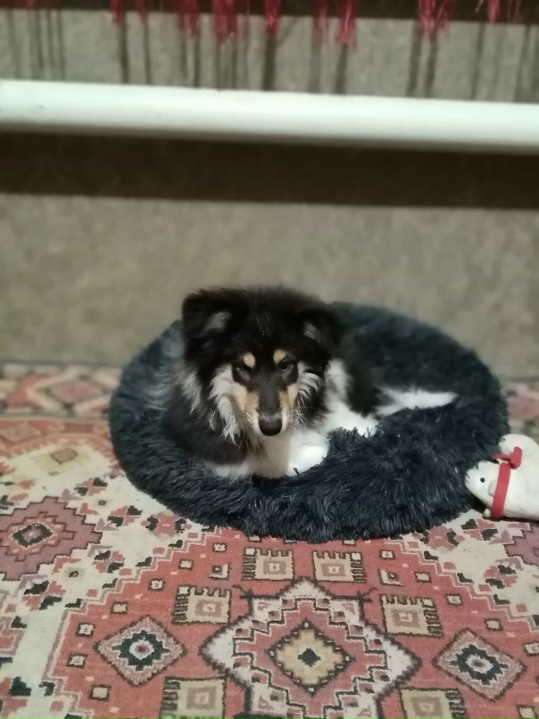 Anna Semenova | Урюпинск