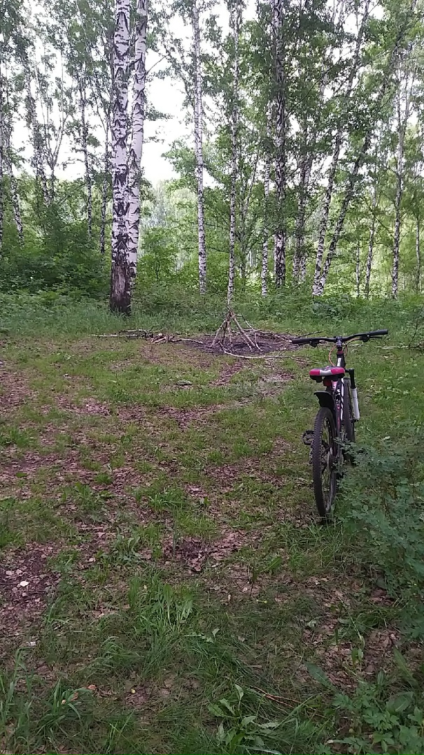 Олеся Левченко | Новокузнецк