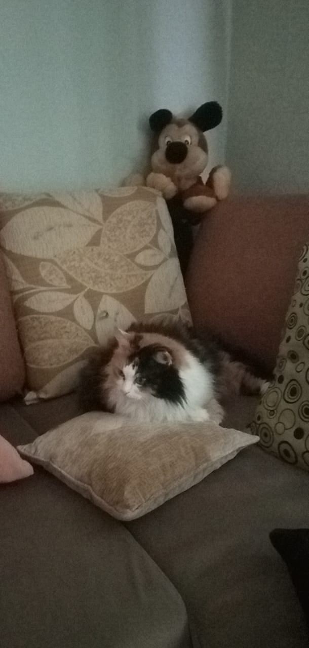 Антон Еременко | Ставрополь