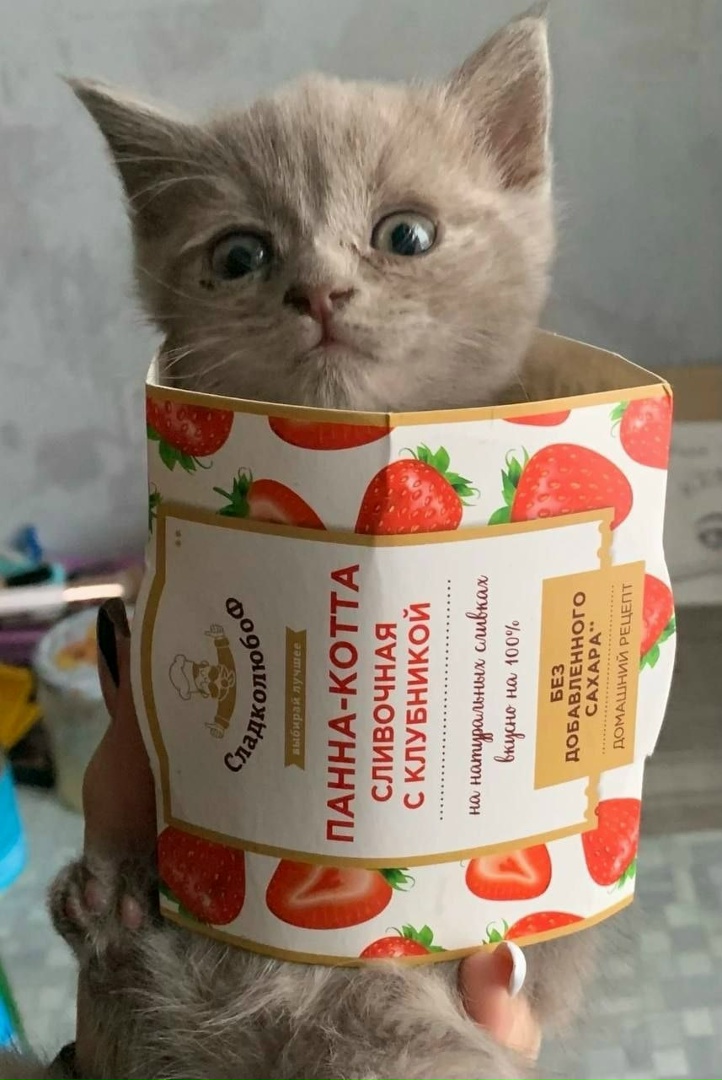 Дина Иванова | Тюмень