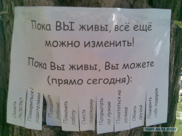 С 1 февраля нельзя материться в соц. сетях - Общение - Беседка - Price-Altai.ru