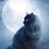 Кот Воитель