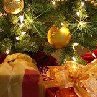 Светлана Полуянова | Котлас