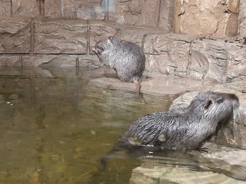 Виктория Гончарова | Чапаевск