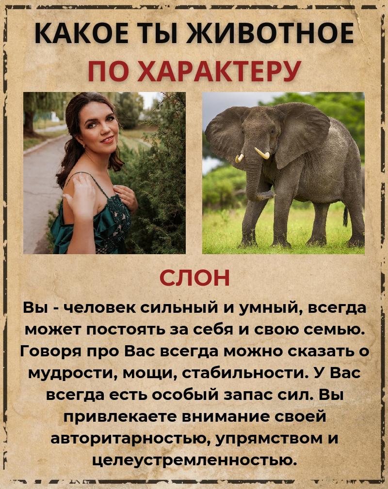 Елена Санина | Пенза