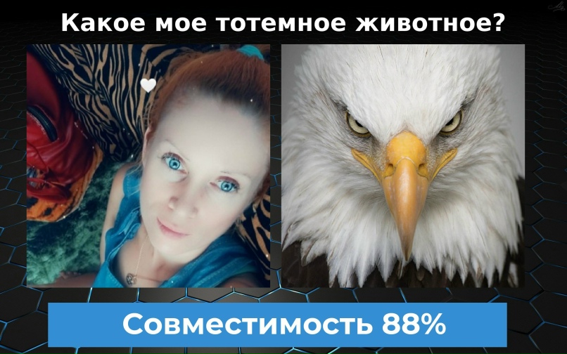 Наташа Дмитриева | Ярославль
