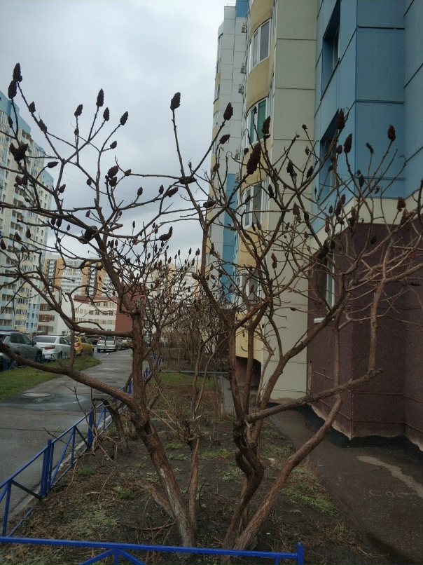 Петр Яркин | Пенза