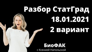 Разбор СтатГрад  | Биология ЕГЭ