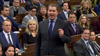 The NDP protects Trudeau against political embarrassment & helps him cover up his corruption