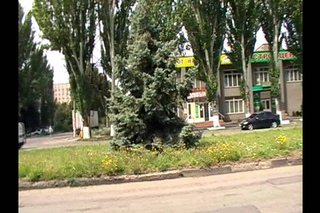 Никопольские активисты ДКУ учат законам тупорылую Кобру!