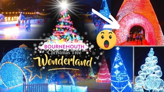 Bournemouth Christmas Tree Wonderland