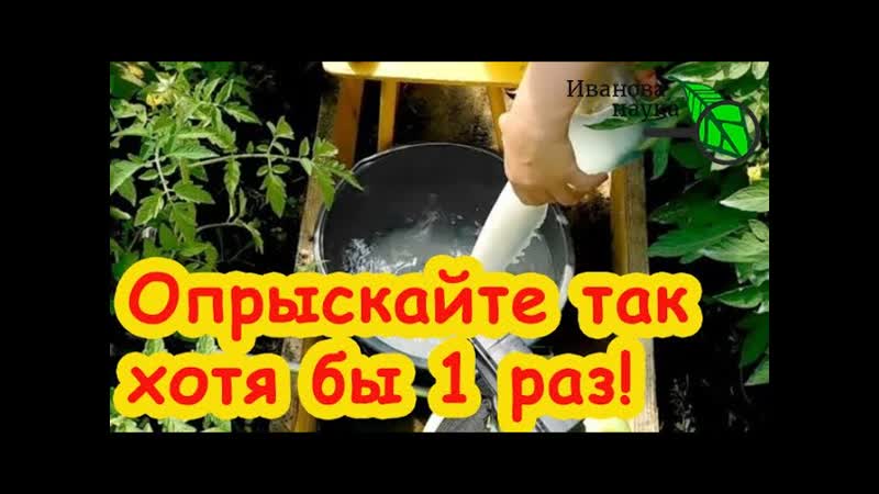 КОПЕЕЧНОЕ СРЕДСТВО ДЛЯ ОБРАБОТКИ СЕМЯН, РАССАДЫ, ТЕПЛИЦЫ и
