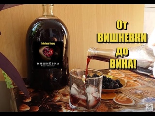 От ВИШНЕВКИ до ВИНА! ВИШНЕВОЕ ВИНО! Подводим калькуляцию затраты и выход вишневки!!!