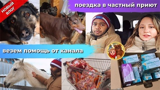 Едем в Приют в Тверской области 🐶 #влог