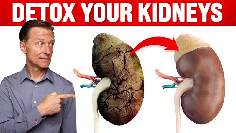 A Surprising Way to Cleanse Toxic Kidneys Dr. Berg on Kidney