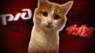 КРИНЖ из-за КОТА ТВИКСА