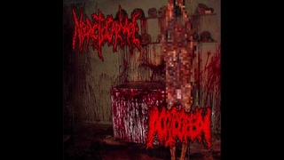 NECROTIC CARNAGE SPLIT W/ ACRID SPEW (GOREGRIND) (2022)