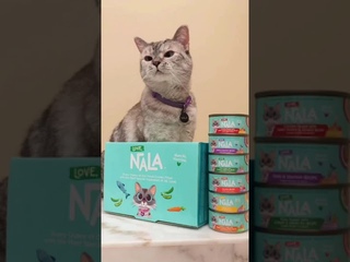 Нала - Самая Богатая Девочка в Мире!!!