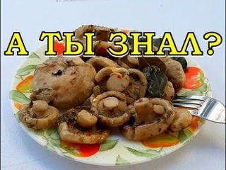 СОЛЁНЫЕ БЕЛЯНКИ - улетная закуска 👍👍👍 (РЕЦЕПТ пошагово)