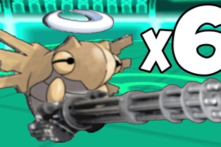 FULL SHEDINJA TEAM! (BIRTHDAY SPECIAL)