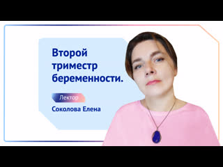 Второй триместр беременности. О чем важно знать