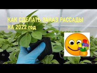 Как сделать заказ рассады в “КАРЕЛЬСКОМ САДЕ“!