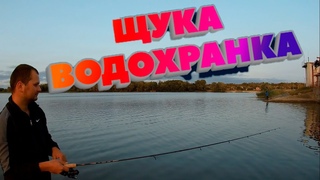 ЩУКА В СЕНТЯБРЕ НА КОРОЧАНСКОМ ВОДОХРАНИЛИЩЕ.
