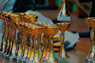 Чемпіонат Київської області з боротьби самбо (Боярка)