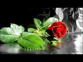 Любэ - Давай за...!!! С Днем Защитника Отечества!!!