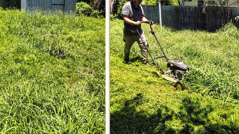 Thick, Long and Wet Grass, Lawn Mowing In The Hot Aussie
