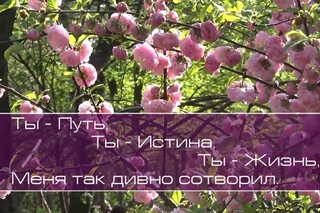 Океан любви. Поклоняюсь Тебе