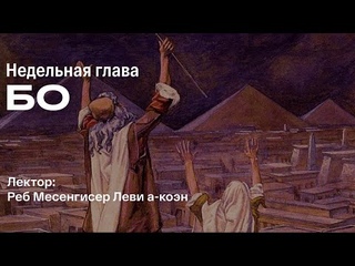 Учим Тору. Недельная глава «Бо»