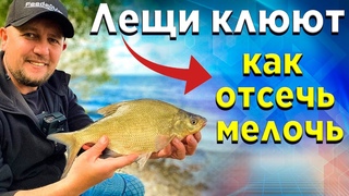 Лещ на ФИДЕР! КАК ИЗБАВИТСЯ ОТ МЕЛКОЙ РЫБЫ! Топ 5 полезных советов.