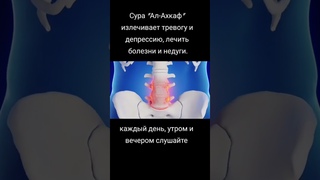Бисмилляхир рохманир рахим. Сура Аль Ахкаф, Чтение Мишари Рашида.