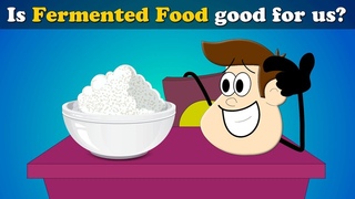 Is Fermented Food good for us? | #aumsum