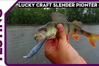 Lucky Craft Pointer 82 MR Универсальный воблер.
