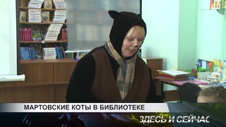 мартовские коты в библиотеке