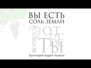 Вы есть соль земли. Христианское отношение к событиям | Протоиерей Андрей Чернеев
