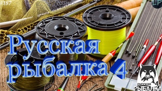 🔴РОЗЫГРЫШ- ПРИМАНОК-НАЖИВОК /Русская Рыбалка 4 / рр4 #187