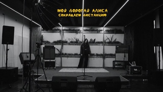 моя дорогая Алиса - сокращаем дистанцию (live)