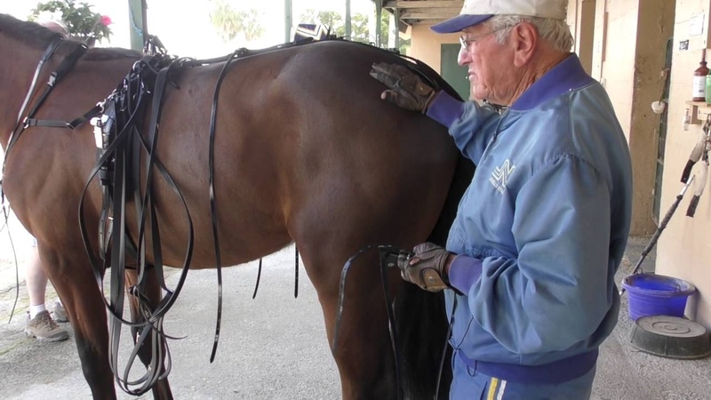 Tack to Track presented by Jacks How to hang pacing